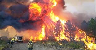 Incendios forestales: un foco activo y cuatro bajo control en el&nbsp;país