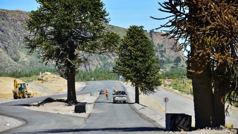Neuquén anunció un plan para pavimentar 264 kilómetros de rutas durante&nbsp;2026
